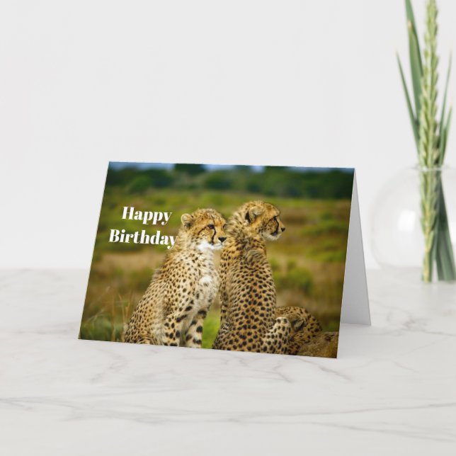 Wildlife Cheetah Photo Birthday Card (Front)