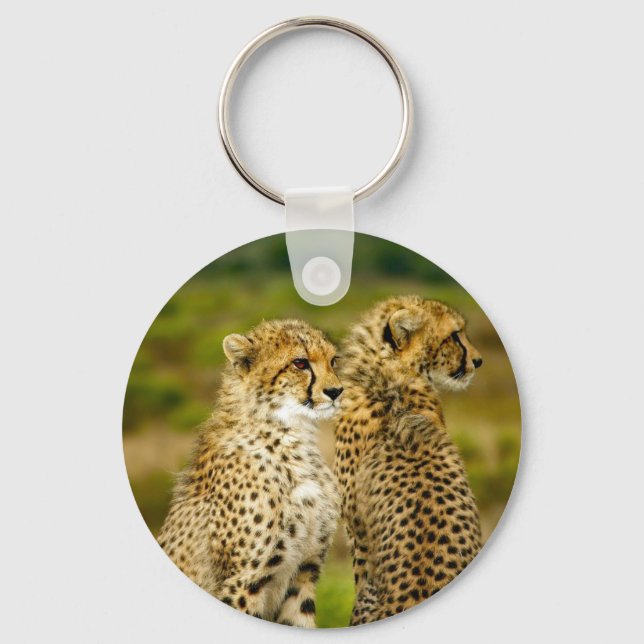 Wildlife Cheetah Photo Keychain (Front)