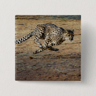 Wildlife Cheetah Running Photo 2 Inch Square Button