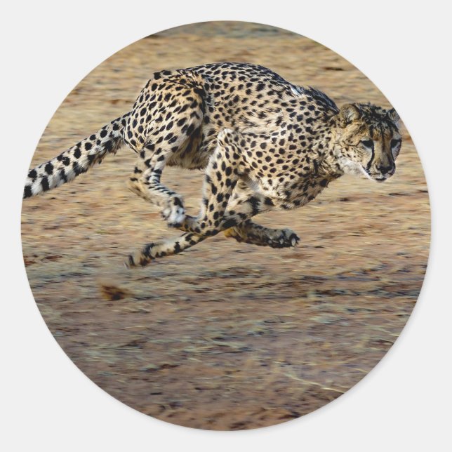 Wildlife Cheetah Running Photo Classic Round Sticker (Front)
