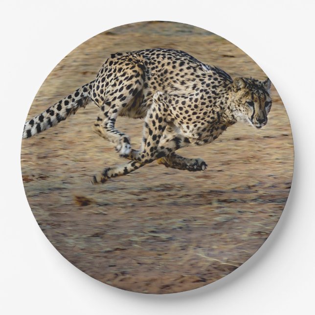 Wildlife Cheetah Running Photo Paper Plate (Front)