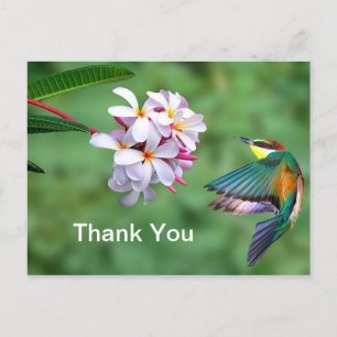 Wildlife Colourful Bee Eater Floral Photo Thank Yo Postcard