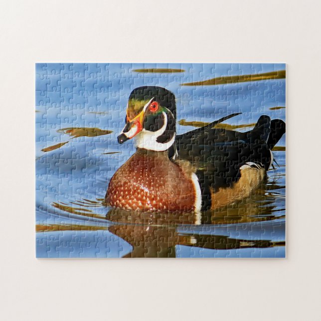 Wildlife Colourful Wood Duck Blue Water Photo Jigsaw Puzzle (Horizontal)
