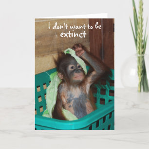 Wildlife Conservation Grumpy Baby Card