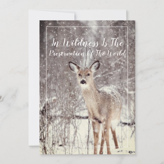 Wildlife Deer In The Snow Winter Holiday (Front)