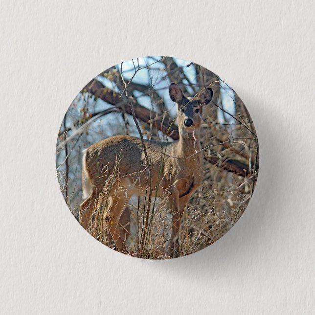 Wildlife Deer Woods Photo 1 Inch Round Button (Front)