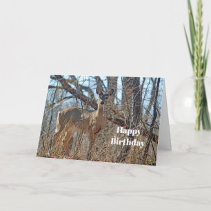 Wildlife Deer Woods Photo Birthday Card