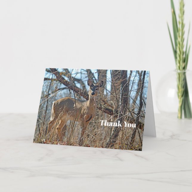 Wildlife Deer Woods Thank You Card (Front)
