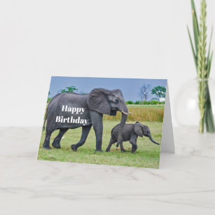Wildlife Elephant Calf Photo Birthday Card