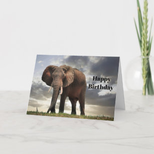 Wildlife Elephant Photo Birthday Card