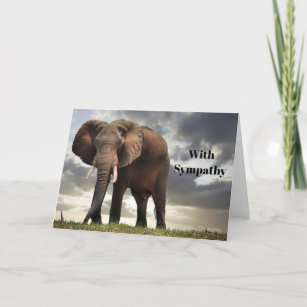 Wildlife Elephant Photo Sympathy Card