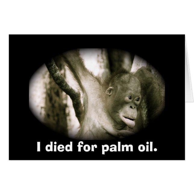 Wildlife  Extinction Southeast Asia Palm Oil (Front Horizontal)