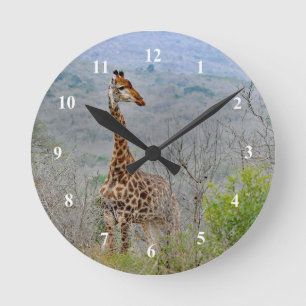 Wildlife Giraffe Savannah Photo Round Clock