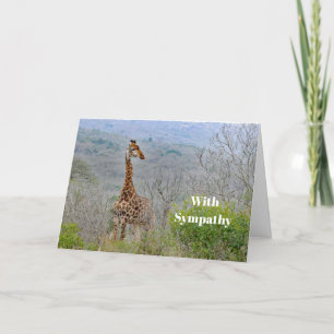 Wildlife Giraffe Savannah Photo Sympathy Card