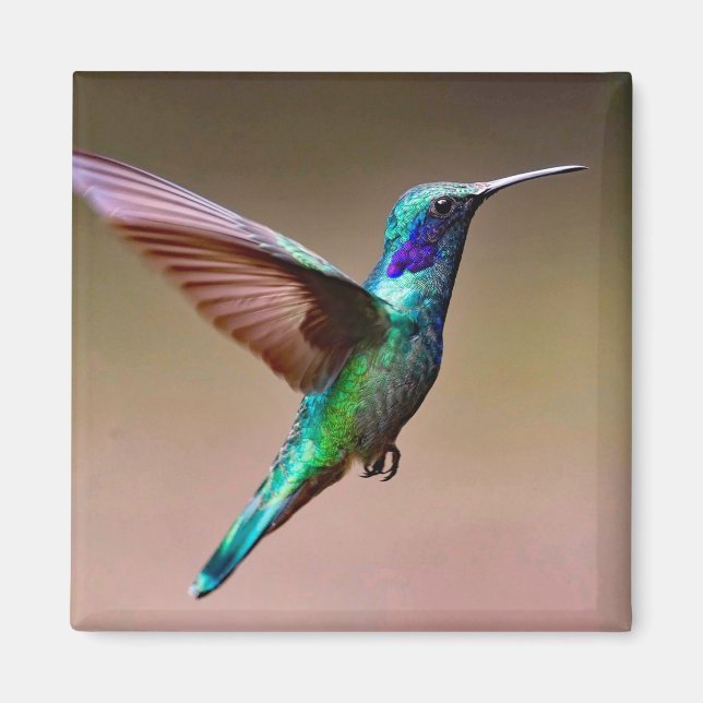 Wildlife Green Hummingbird Photo Magnet (Front)