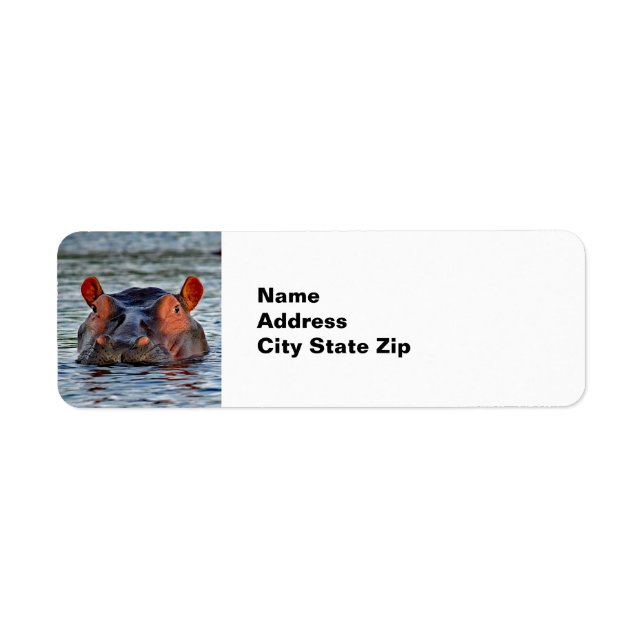 Wildlife Hippo Water Photo (Front)