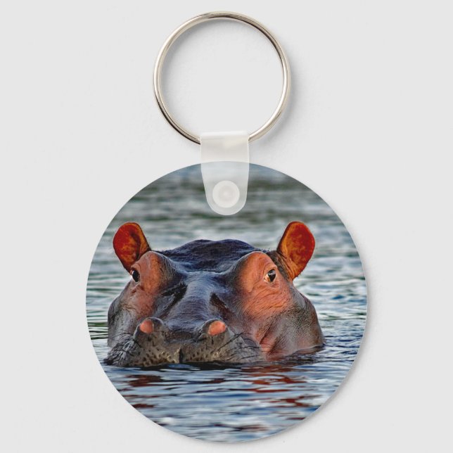 Wildlife Hippo Water Photo Keychain (Front)