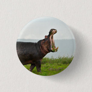 Wildlife Hippopotamus Photo 1 Inch Round Button