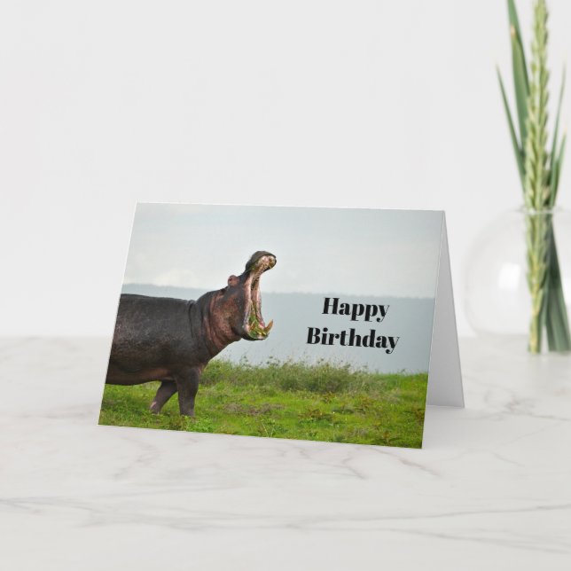 Wildlife Hippopotamus Photo Birthday Card (Front)