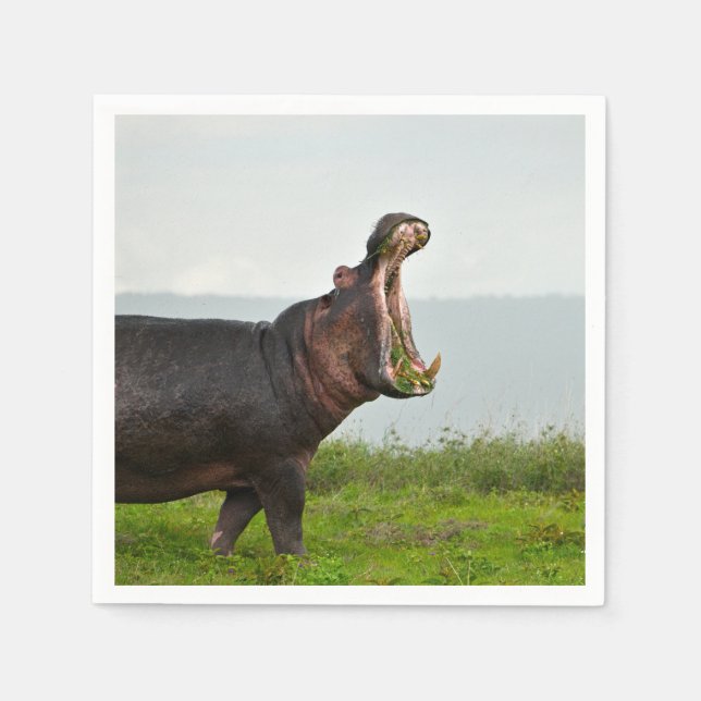 Wildlife Hippopotamus Photo Napkin (Front)