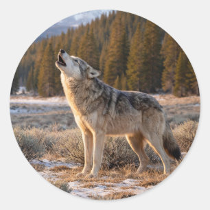 Wildlife Howling Grey Wolf Wilderness Scene Classic Round Sticker