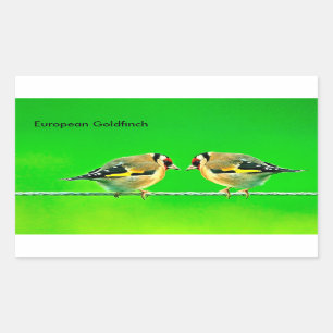 Wildlife images for Rectangle-Stickers Sticker