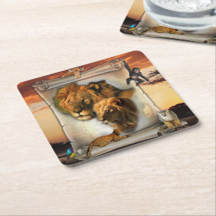 Wildlife Lion from Africa Square Paper Coaster