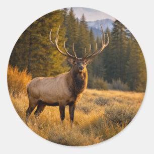 Wildlife Majestic Elk Mountain Forest Classic Round Sticker