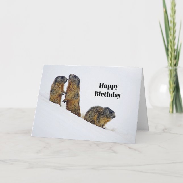 Wildlife Marmots Snow Photo Birthday Card (Front)