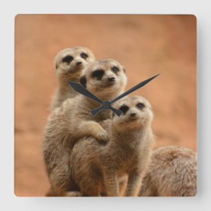 WILDLIFE Meerkat mug Square Wall Clock