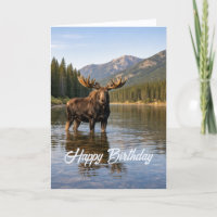 Wildlife Moose Mountain River Birthday