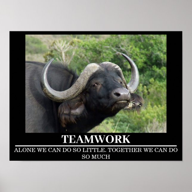 Wildlife Motivational Posters Buffalo Teamwork (Front)