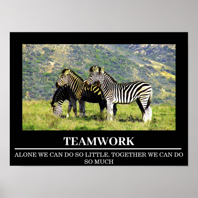 Wildlife Motivational Posters Zebra Teamwork (Front)