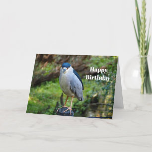 Wildlife Night Heron Photo Birthday Card