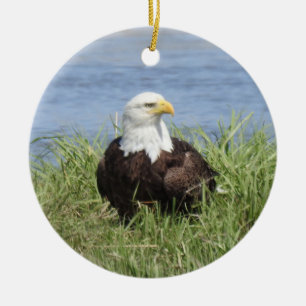 Wildlife ornament, bald eagle, nature, wild birds ceramic ornament