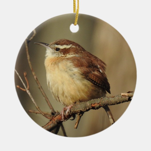 Wildlife ornament,  ceramic ornament (Front)