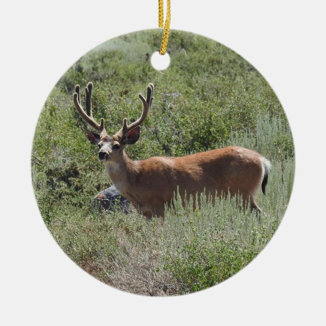 Wildlife ornament, mule deer, nature, animals ceramic ornament (Front)
