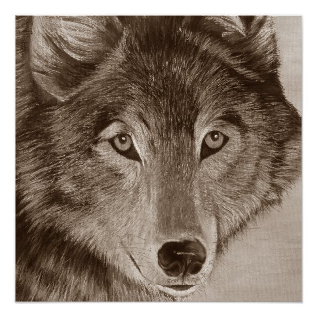 wildlife painting of grey wolf poster (Front)
