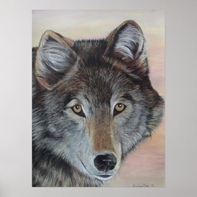 wildlife painting of grey wolf poster (Front)