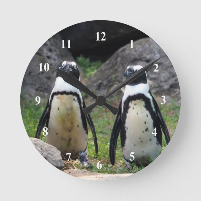 Wildlife Penguin Pair Photo Round Clock (Front)