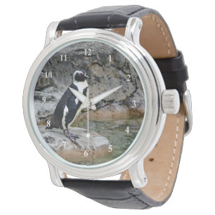 Wildlife Penguin Photo Watch