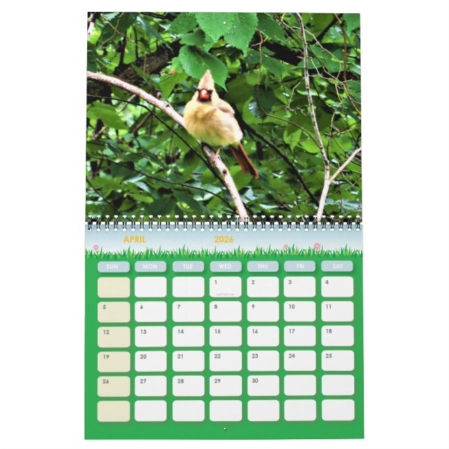 Wildlife Photography Calendar (Apr 2026)
