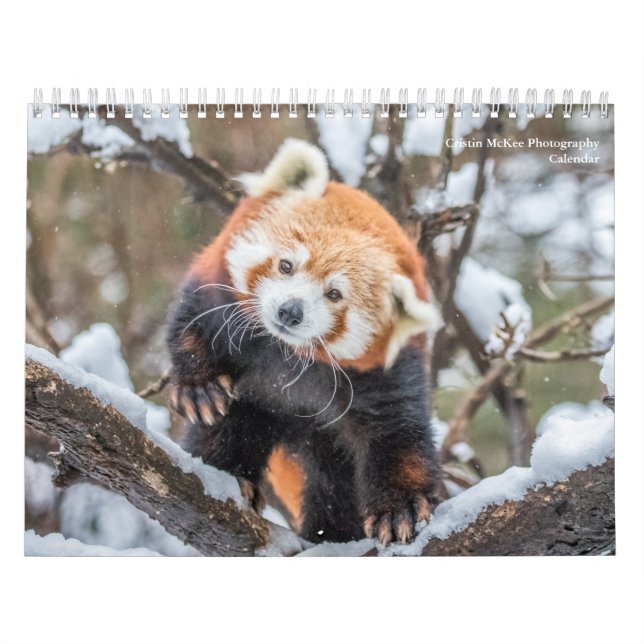 Wildlife Photography Calendar (Cover)