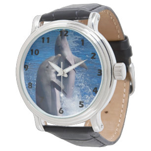 Wildlife Photography Dolphins Watch