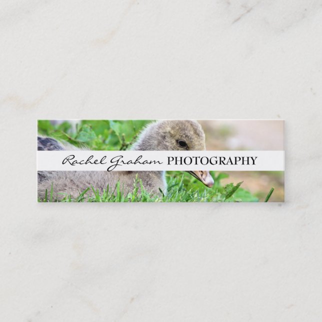 Wildlife - Photography Mini Business Card (Front)