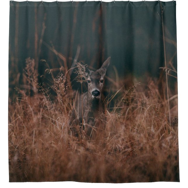 WILDLIFE PHOTOGRAPHY OF GRAY DEER SURROUNDED BY GR (Front)