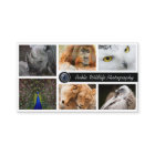 Wildlife Photography Photographer