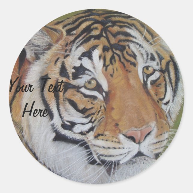wildlife picture of big cat tiger  classic round sticker (Front)