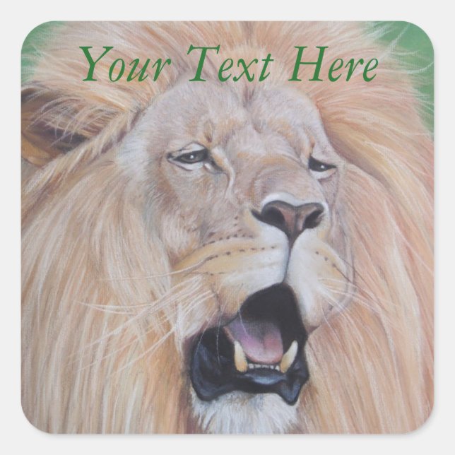 wildlife picture of sad lion roaring big cat square sticker (Front)