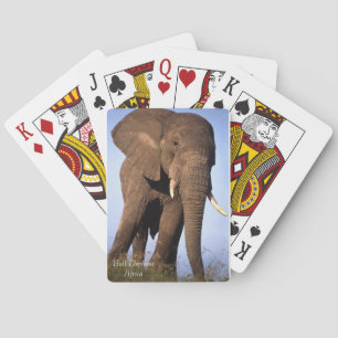 Wildlife Playing Cards